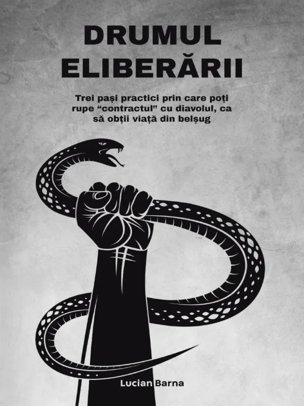 Drumul Eliberării